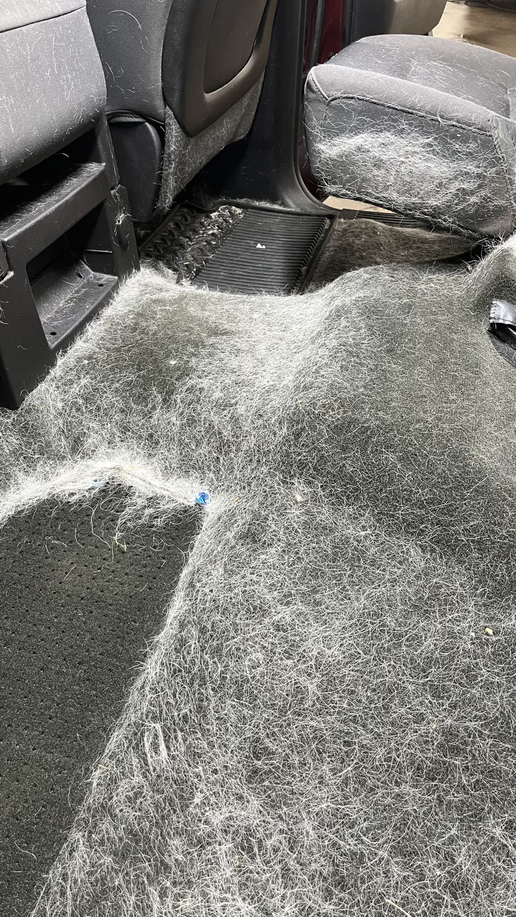 Truck rear floor carpet and seats completely covered in dog hair before cleaning